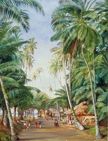 Roadside Scene under the Cocoanut Trees at Galle, Ceylon by Marianne North (c.1877)